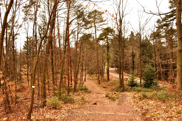 min 2009 03 15 marmoutier 034